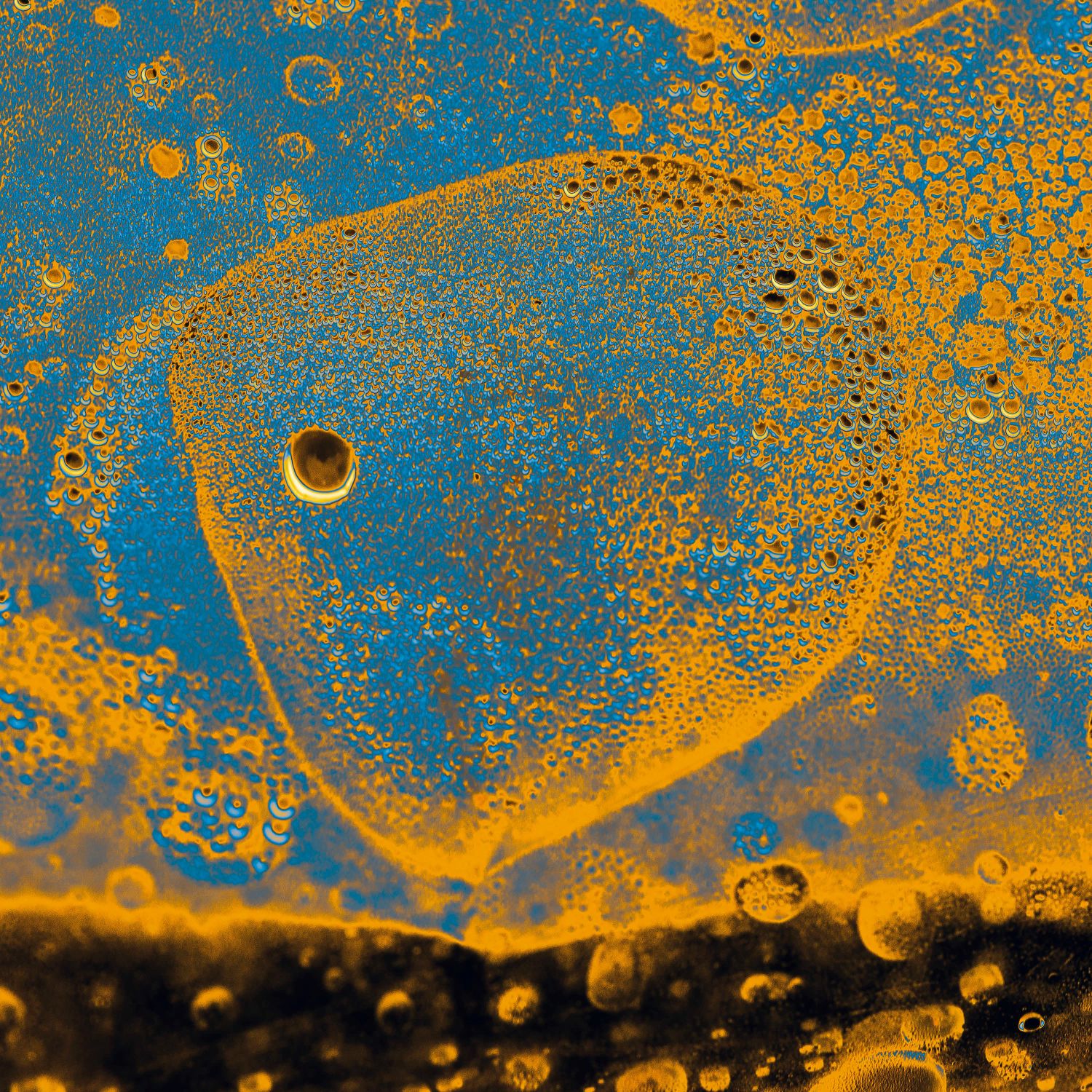 Gold Fish - an image from Dan's Atoms and Molecules series